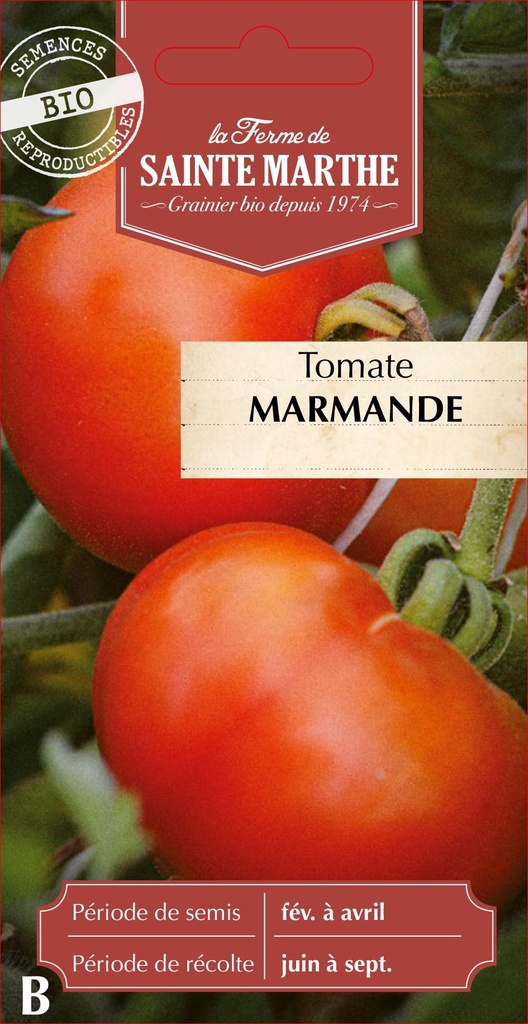 Tomate Marmande
