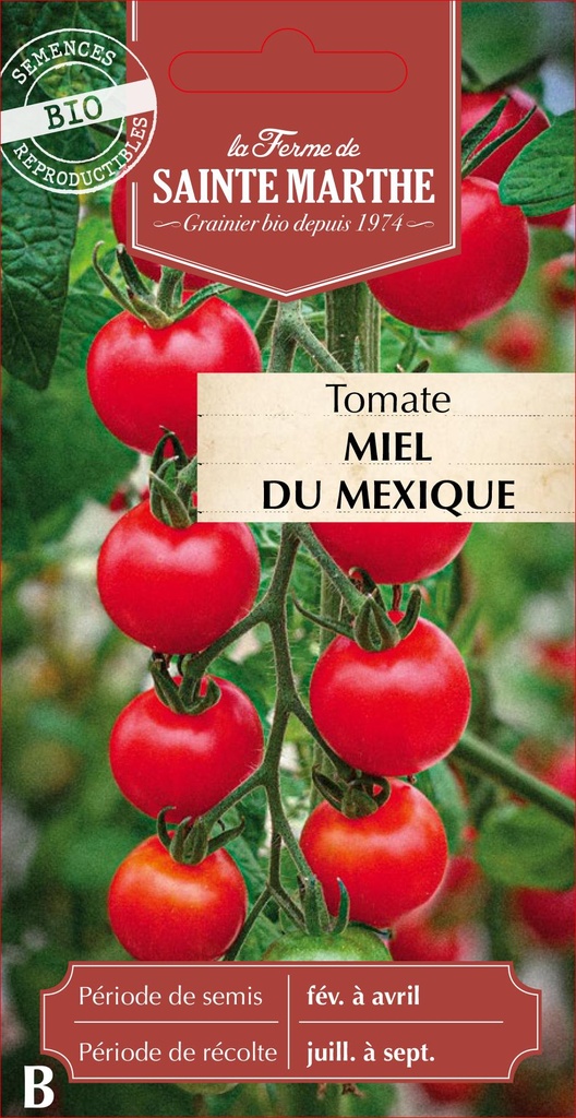 Tomate Miel Du Mexique