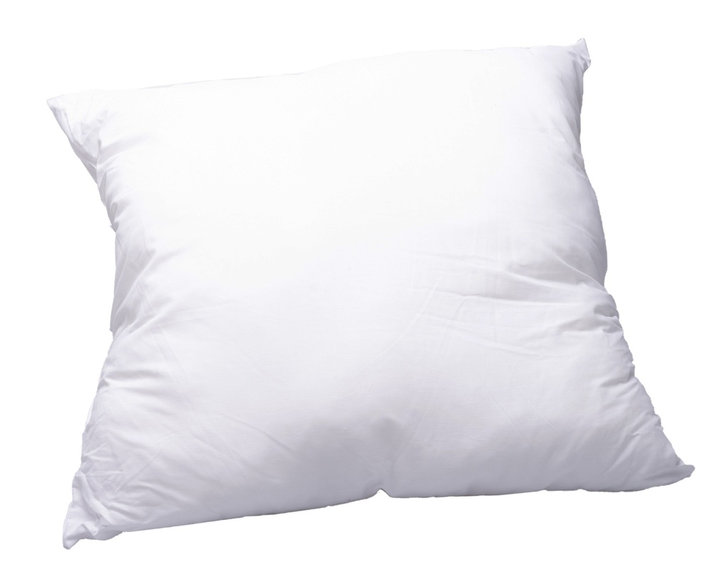 Coussin Norsilicon 850gr 60x60cm