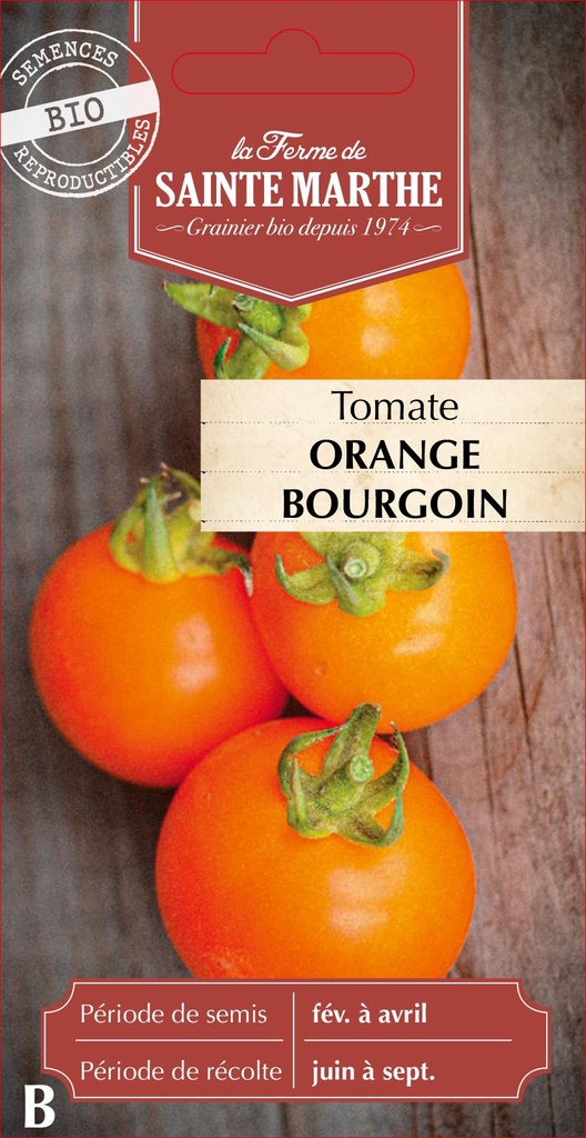 Tomate Orange Bourgoin