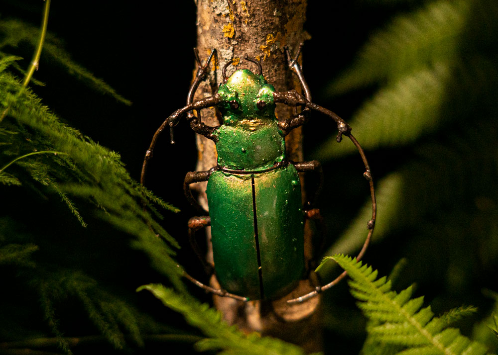 Scarabée Vert