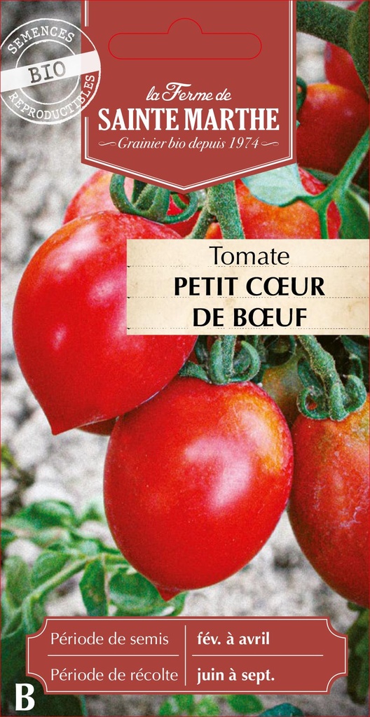 Tomate Petit Cœur De Bœuf