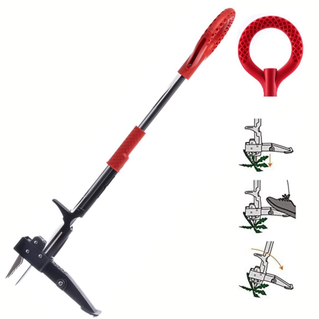 Root Slayer Desherbeur