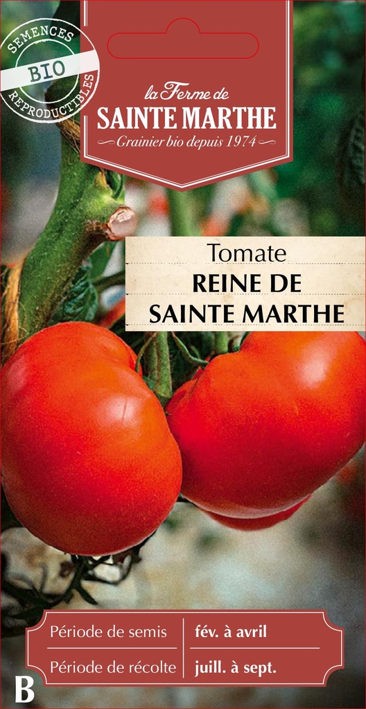 Tomate Reine De Sainte Marthe