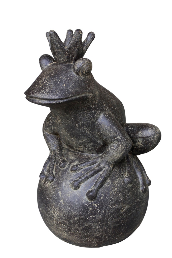 Prince Grenouille