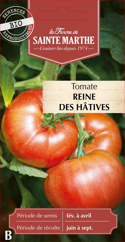 Tomate  Reine Des Hatives