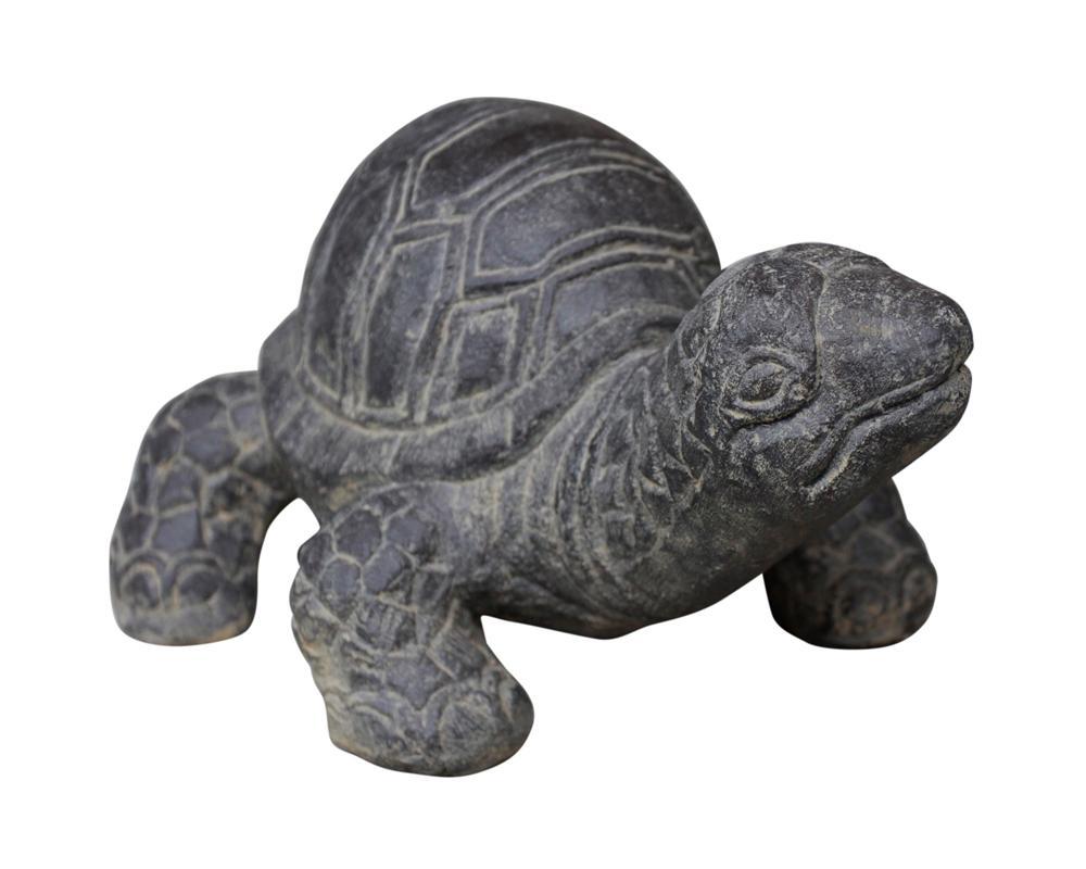 Tortue 33