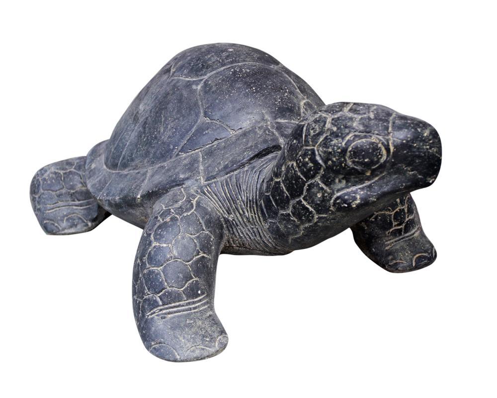 Tortue 60