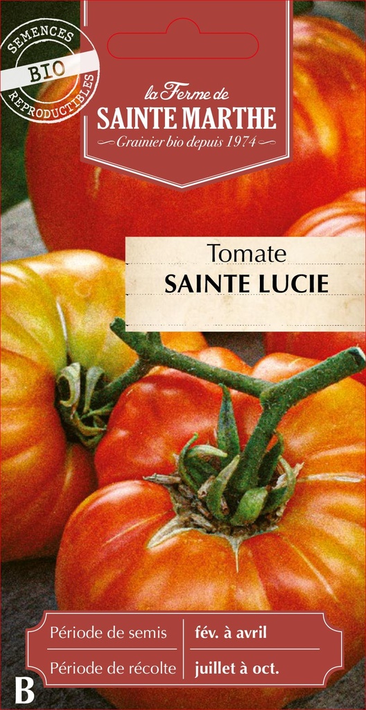 Tomate Sainte Lucie