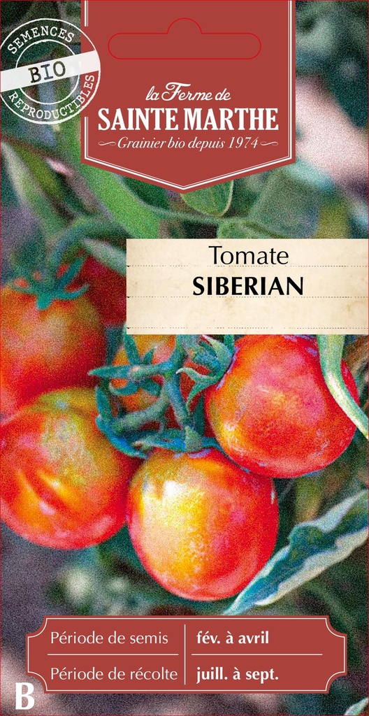 Tomate Siberian