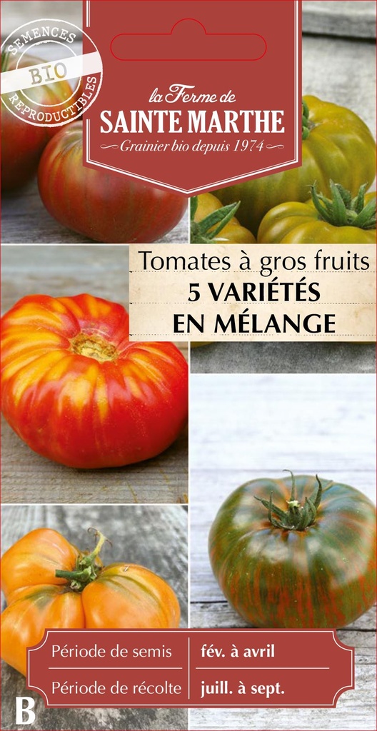 Tomates À Gros Fruits 5 Variétés En Mélange