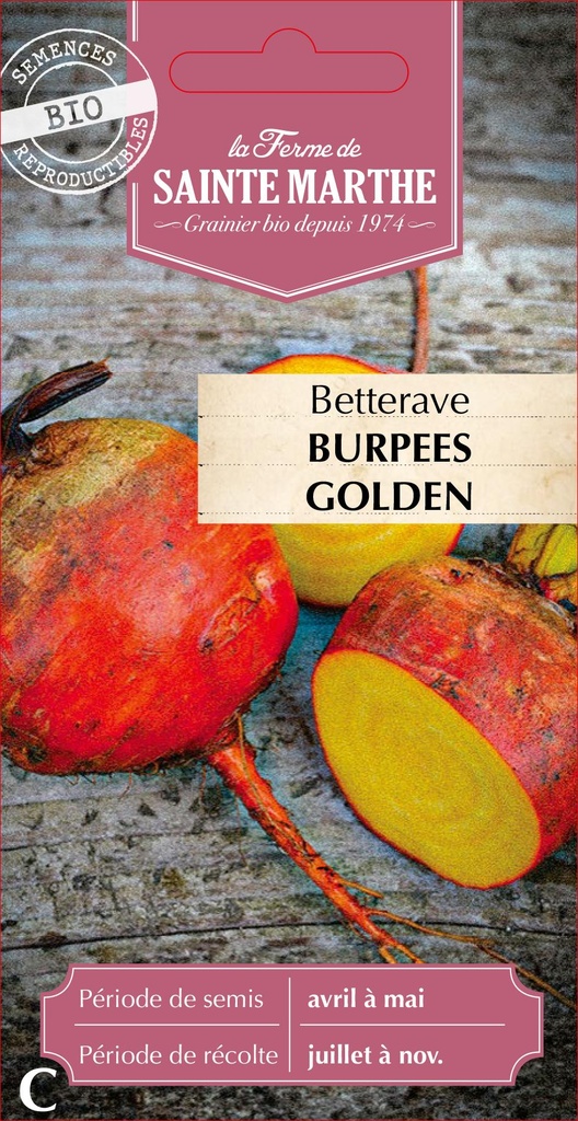 Betterave Burpees Golden