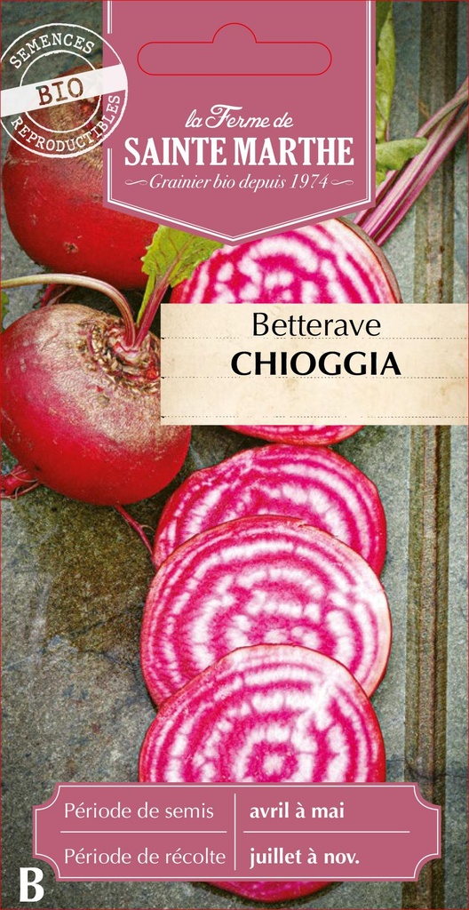 Betterave Chioggia