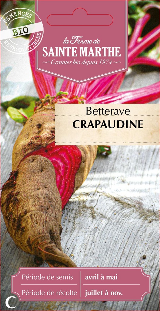 Betterave Crapaudine