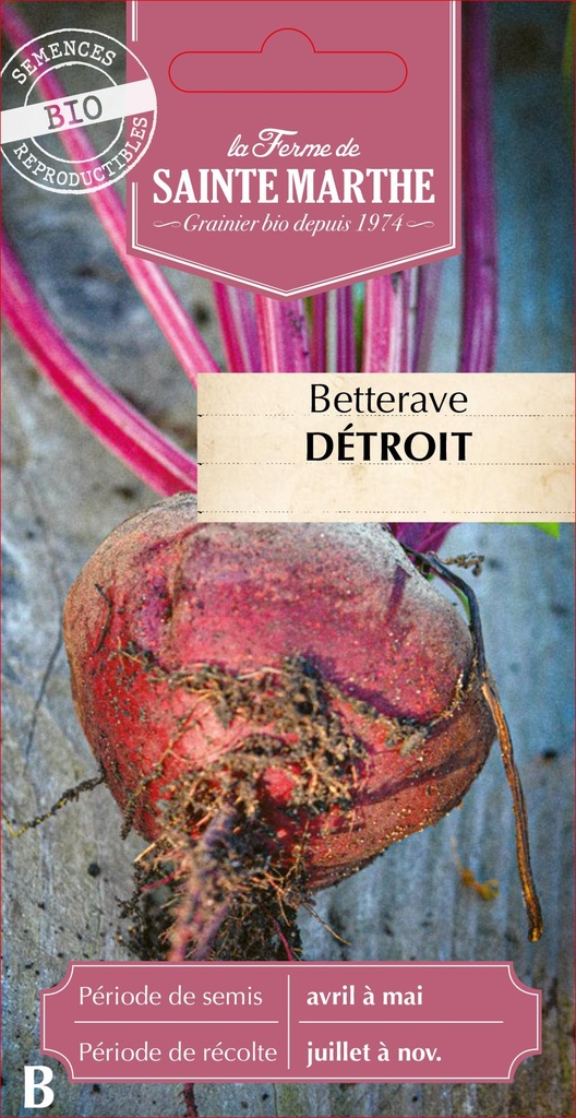 Betterave Detroit 2