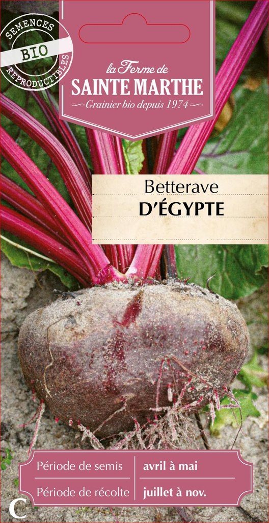 Betterave D'Egypte