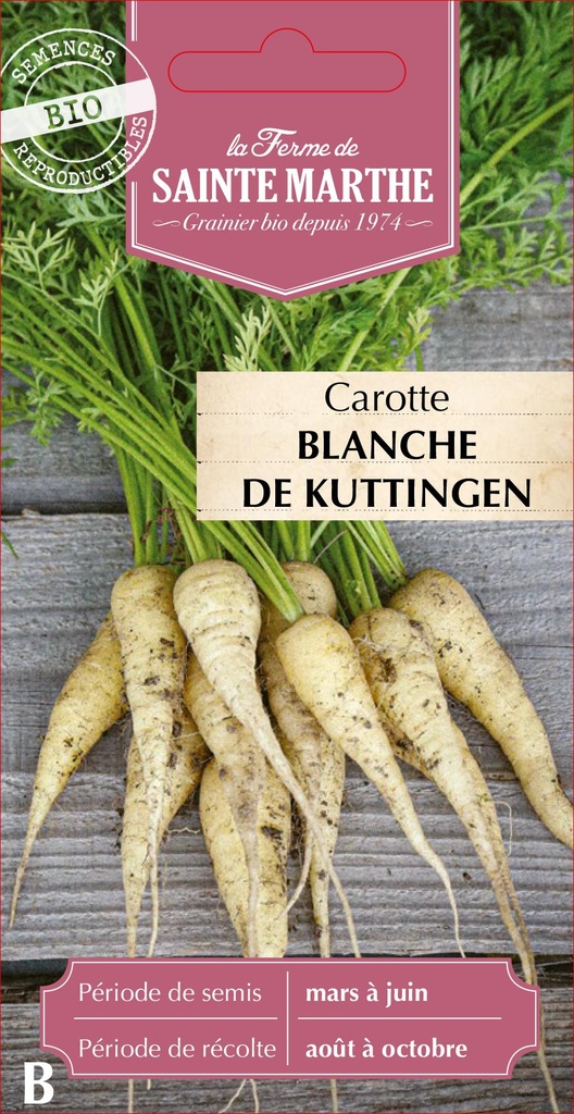 Carotte Blanche De Kuttingen