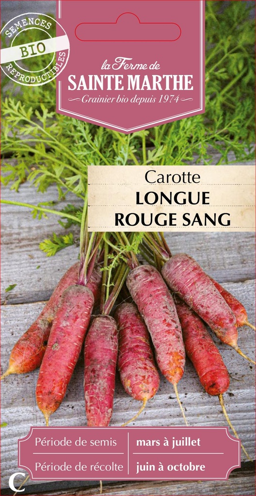 Carotte Longue Rouge Sang