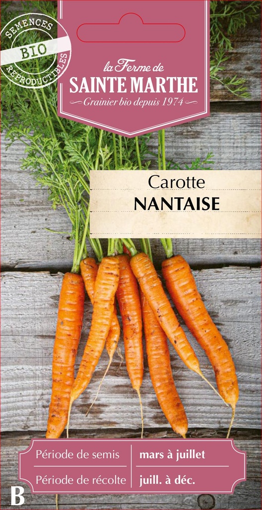 Carotte Nantaise 2