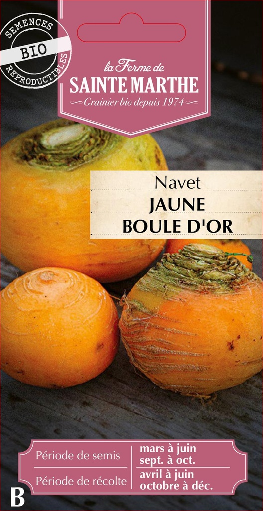 Navet Jaune Boule D'Or
