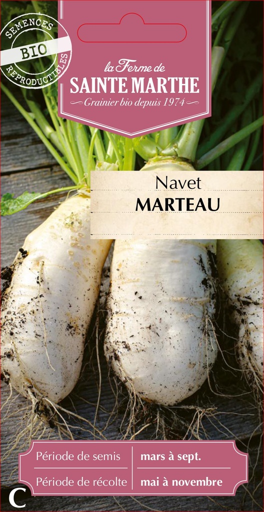 Navet Marteau