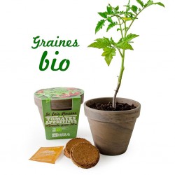 Pot Terre cuite Basalte 13cm Tomate cerise bio