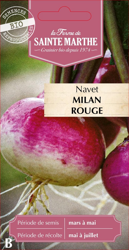 Navet Milan Rouge