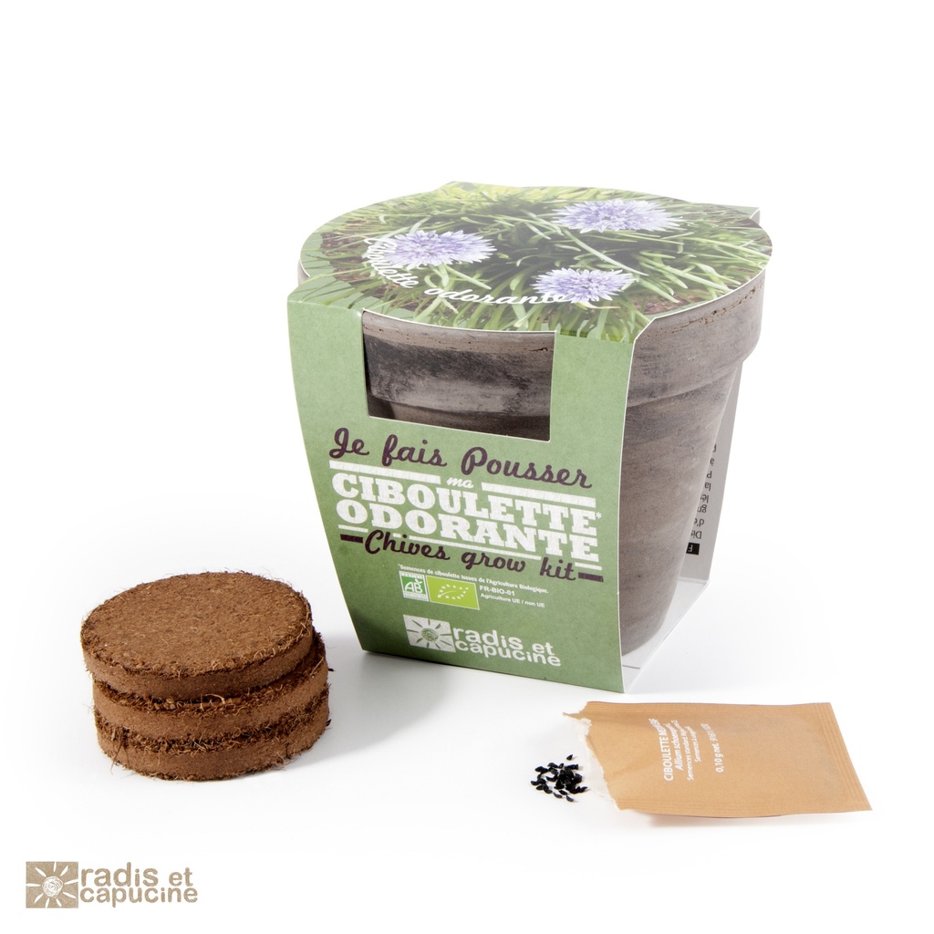 Pot Terre cuite Basalte 13cm Ciboulette bio