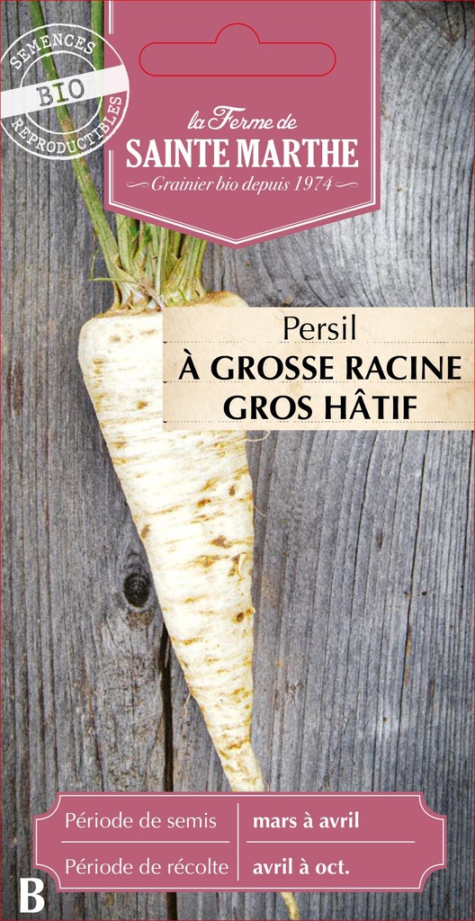 Persil À Grosse Racine Gros Hâtif