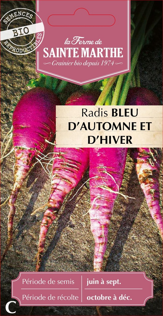 Radis Bleu D'Automne Et D'Hiver