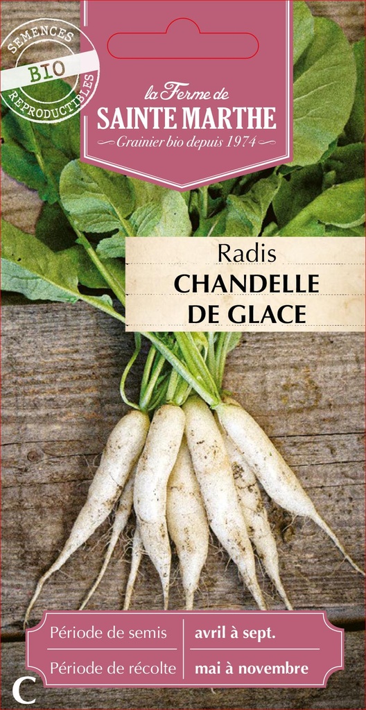 Radis Chandelle De Glace