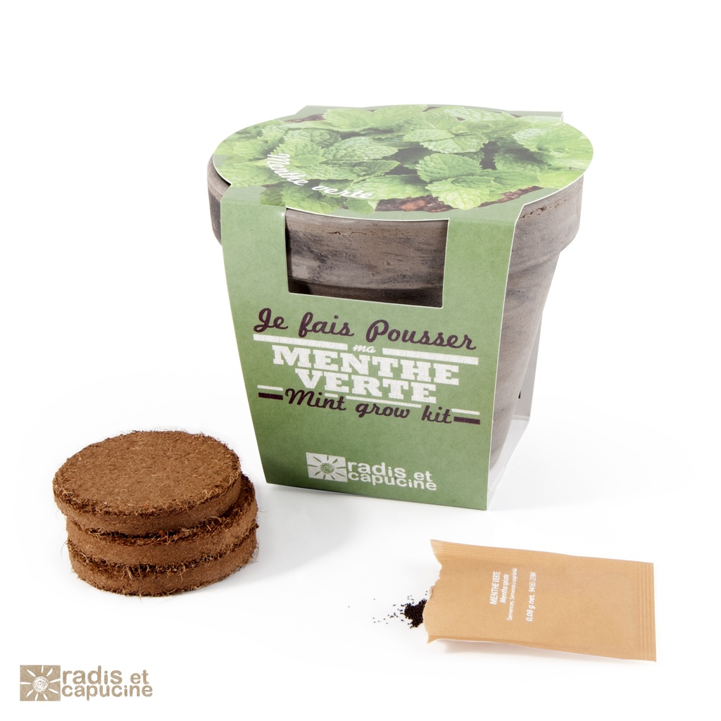 Pot Terre cuite Basalte 13cm Menthe Verte