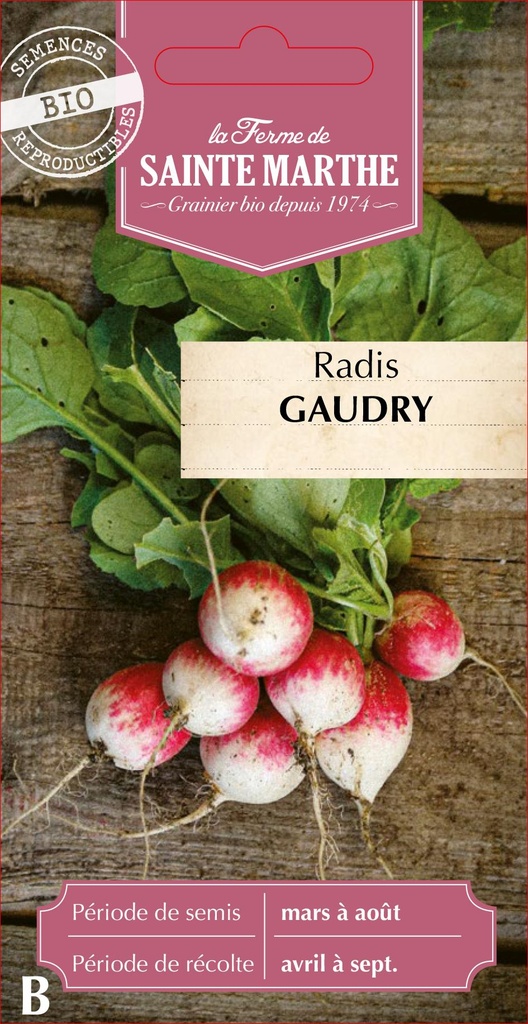 Radis Gaudry 2