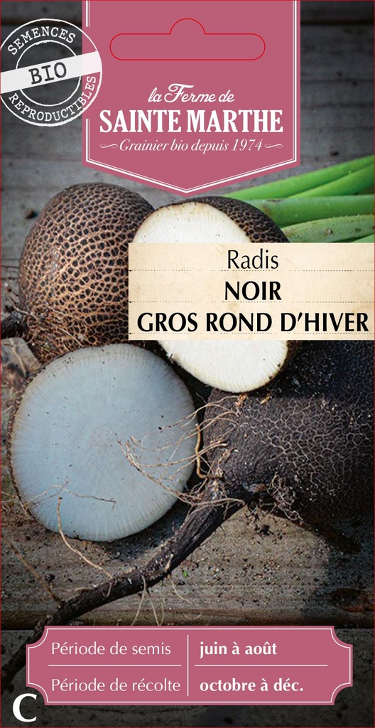 Radis Noir Gros Rond D'Hiver