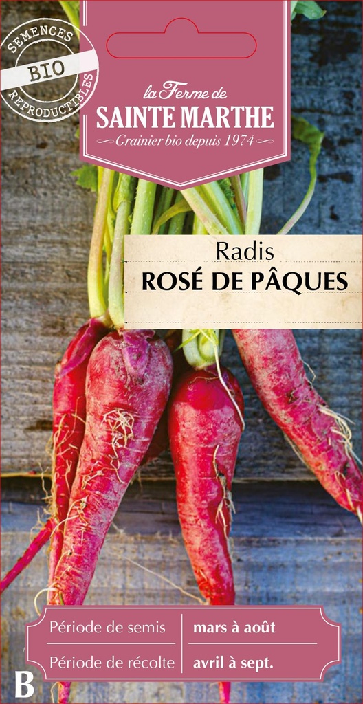 Radis Rosé De Pâques 3