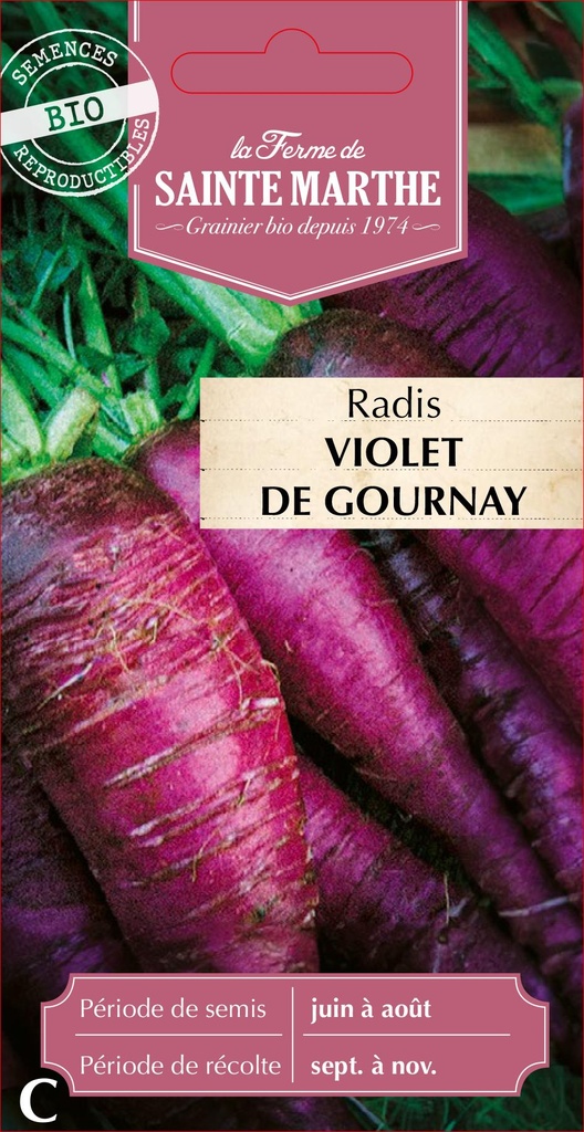 Radis Violet De Gournay