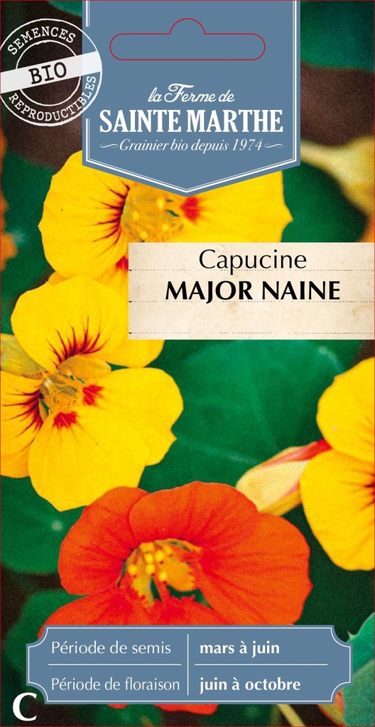 Capucine Major Naine