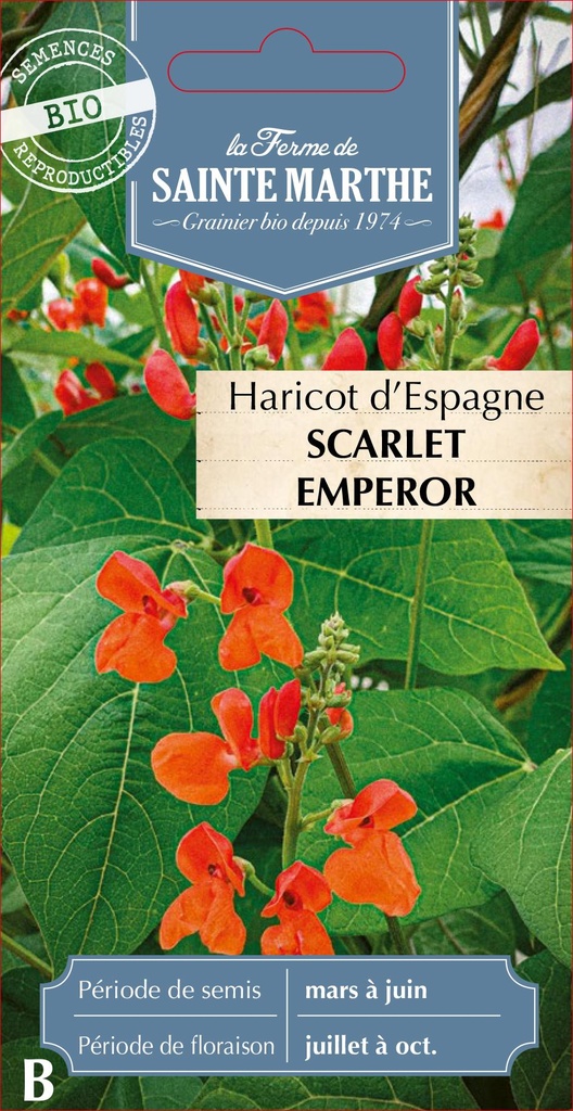 Haricot D'Espagne Scarlet Emperor