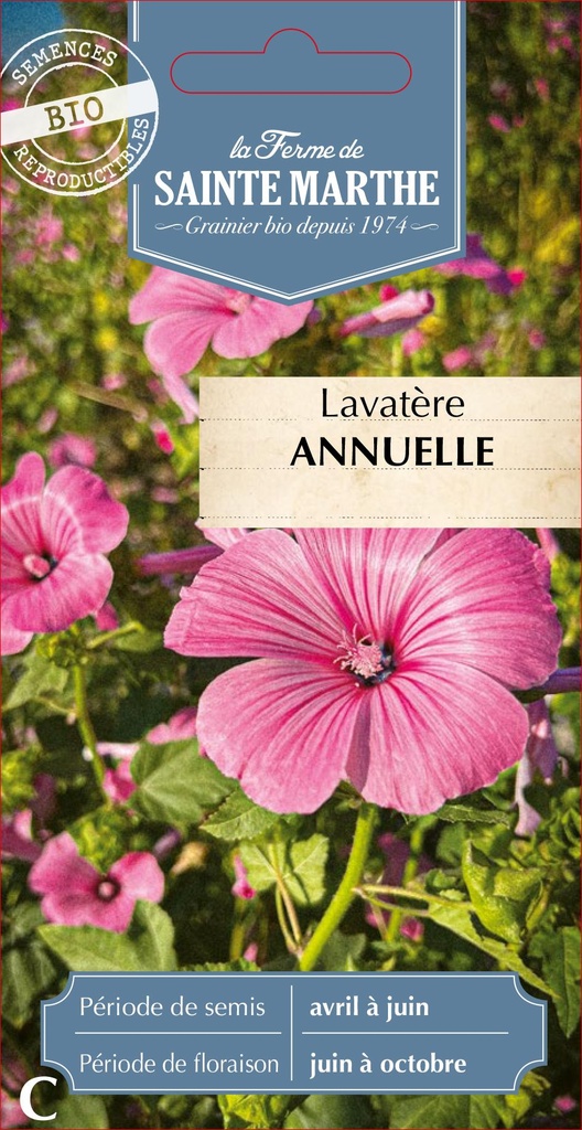 Lavatère Annuel
