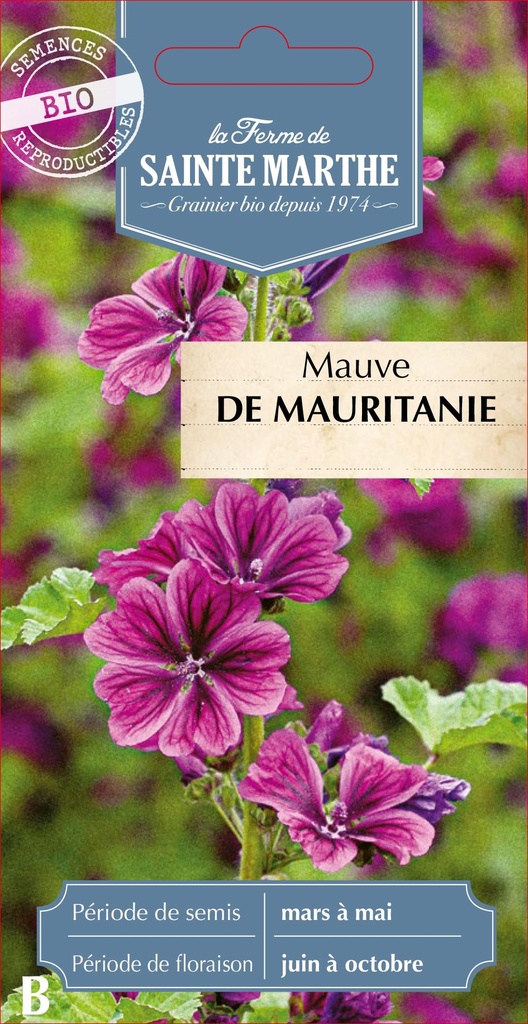 Mauve De Mauritanie
