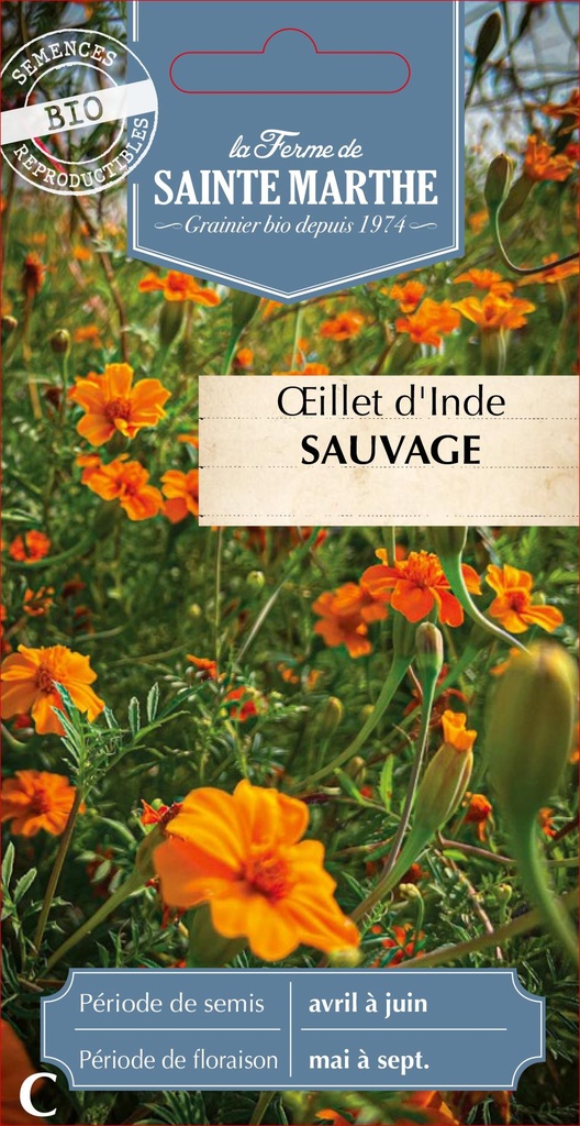 Œillet D'Inde Sauvage