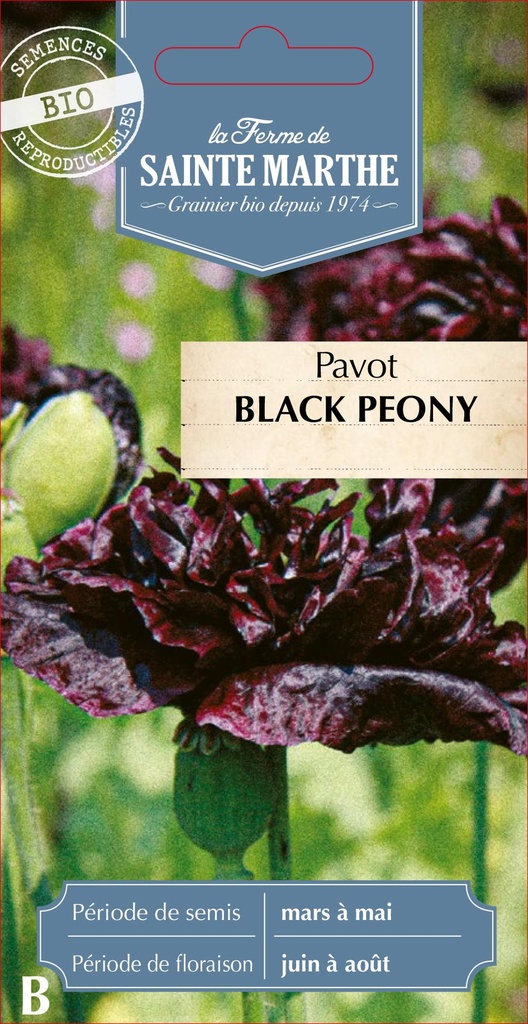 Pavot Black Peony