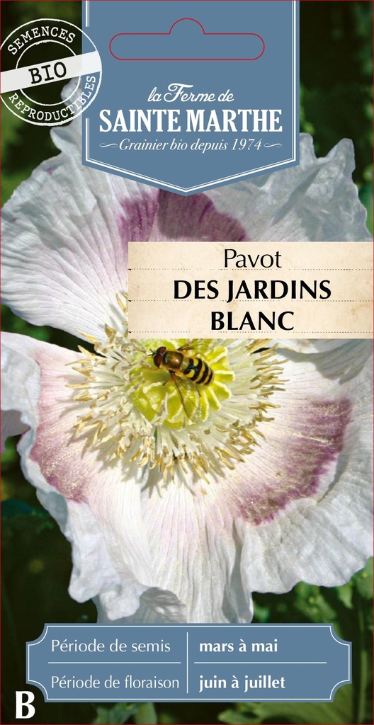 Pavot Des Jardins Blanc