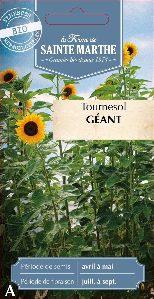 Tournesol Géant