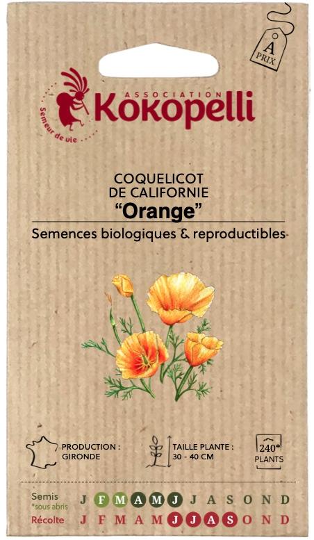 Coquelicot de Californie orange