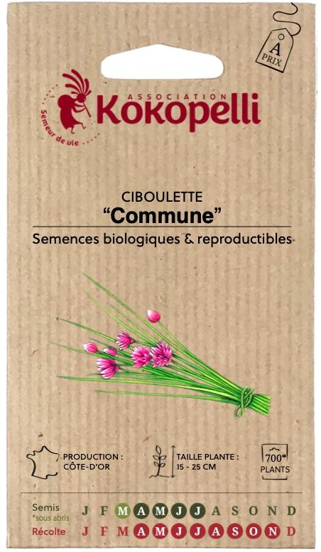 Ciboulette Allium Schoenoprasum