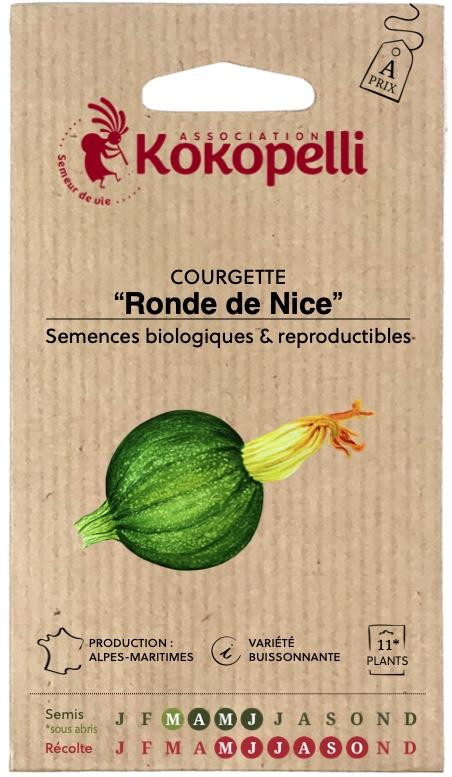 Courgette Ronde de Nice