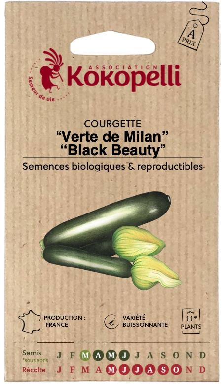 Courgette Verte de Milan / Black Beauty