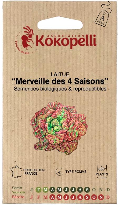 Laitue batavia de tous les mois Merveille de Verano
