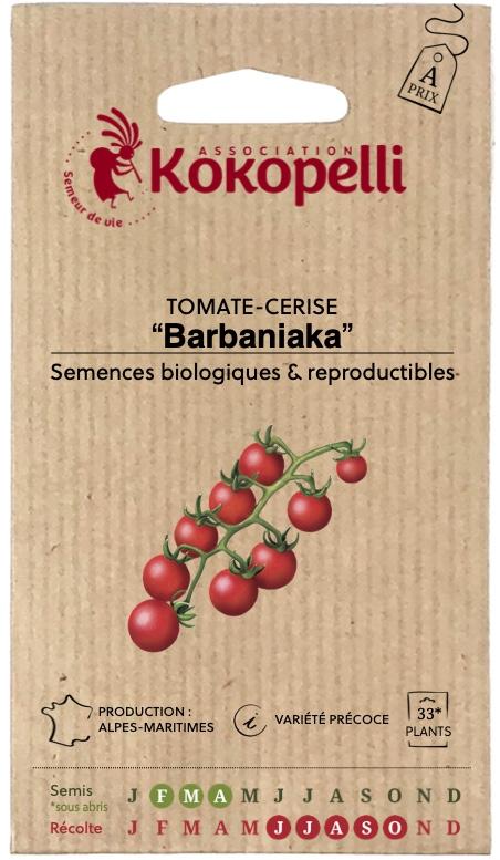 Tomate-Cerise rouge Barbaniaka